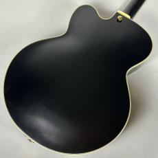 Ibanez PM3C パット・メセニーシグネチャー・モデル【現物写真】_8