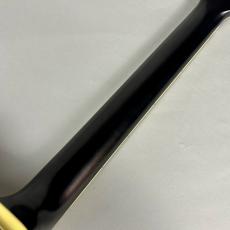 Ibanez PM3C パット・メセニーシグネチャー・モデル【現物写真】_9