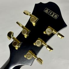 Ibanez PM3C パット・メセニーシグネチャー・モデル【現物写真】_10