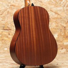 Taylor 117e 2023_2