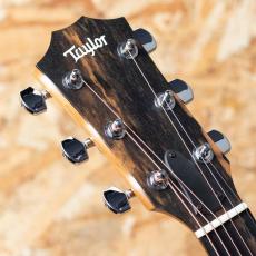 Taylor 117e 2023_4
