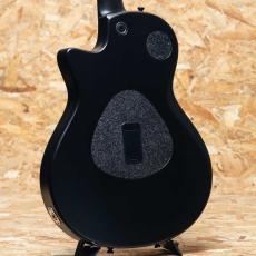 Taylor T5z Classic - Rosewood_2