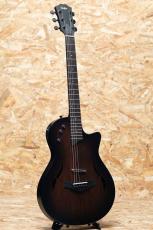 Taylor T5z Classic - Rosewood_3