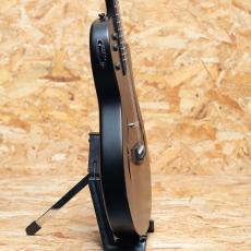 Taylor T5z Classic - Rosewood_4