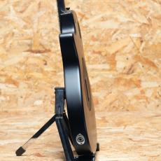 Taylor T5z Classic - Rosewood_5
