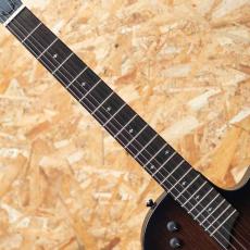Taylor T5z Classic - Rosewood_6