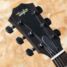 Taylor T5z Classic - Rosewood_8