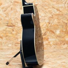 Takamine FPT561C BL_5