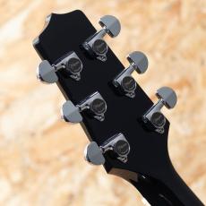 Takamine FPT561C BL_9
