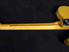 Fender American Professional Classic Telecaster Butterscotch Blonde_8
