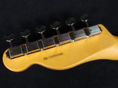 Fender American Professional Classic Telecaster Butterscotch Blonde_9
