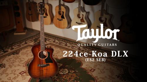 Taylor 【試奏動画有】224ce-Koa DLX ES2 SEB【Taylor公認 リペアマン在籍店】