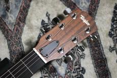 Taylor Academy 10e 【Taylor公認 リペアマン在籍店】_3