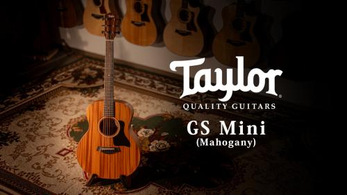 Taylor 【試奏動画有】 GS Mini Mahogany 【Taylor公認 リペアマン在籍店】