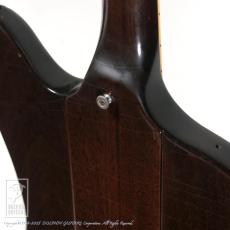 Gibson Firebird V_15