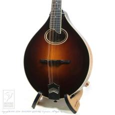 Collings MT2 O