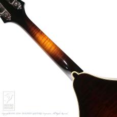 Collings MT2 O_11