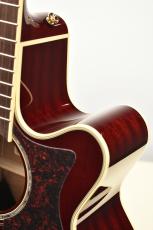 Takamine 【クロサワ横浜店】【シダー単板/ワインレッド】DMP551C WR 【48回無金利分割可能】_8