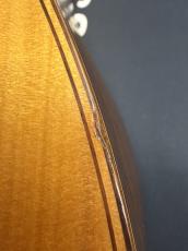 Cole Clark 【クロサワ横浜店】FL-3A 2006年製中古【最上位グレード】_9