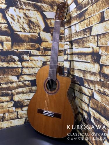 Cordoba コルドバ Model:C7-CE 【日本総本店2F 在庫品】