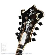 WADE FW-5 【36回無金利対象品】_7
