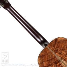 Santa Cruz H Model Koa【24回無金利対象品】_6