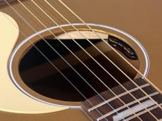 Gibson 【New】 Custom Shop Greatest Hits Vol.ⅡJ-45 Gold Top Gloss #20346060 【G-Club Tokyo】_9