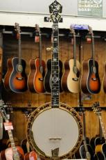 Ome  Grand Artist Hummingbird Custom_2