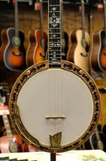 Ome  Grand Artist Hummingbird Custom_3