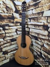 加納木魂 Kanoh Kodama 2004年製 #40 630mm 19世紀ギター 松・ローズウッド【日本総本店2F 在庫品】_2