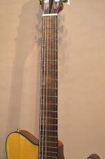 Ibanez FRH10N_3