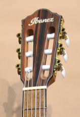 Ibanez FRH10N_4