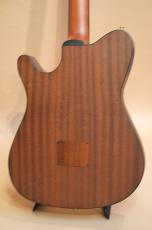 Ibanez FRH10N_6