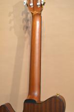 Ibanez FRH10N_7