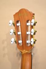 Ibanez FRH10N_8