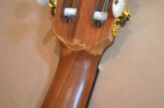Ibanez FRH10N_13
