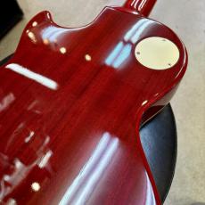 Epiphone Les Paul Standard Plain Top_6