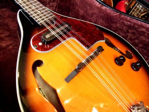 ARIA AM-20E　ElectricMandolin ハードケース付き　【マイク搭載!!アンプに繋げるアリアマンドリン】