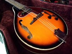 ARIA AM-20E　ElectricMandolin ハードケース付き　【マイク搭載!!アンプに繋げるアリアマンドリン】_2