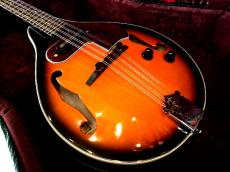 ARIA AM-20E　ElectricMandolin ハードケース付き　【マイク搭載!!アンプに繋げるアリアマンドリン】_4
