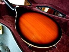 ARIA AM-20E　ElectricMandolin ハードケース付き　【マイク搭載!!アンプに繋げるアリアマンドリン】_8