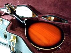 ARIA AM-20E　ElectricMandolin ハードケース付き　【マイク搭載!!アンプに繋げるアリアマンドリン】_9