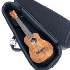 ◇試奏動画付 【TASHIRO】MC-K/cw ミディアムコンサート_17