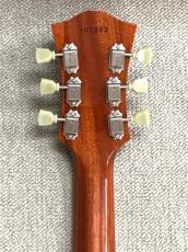 Bacchus DUKE-STANDARD_5