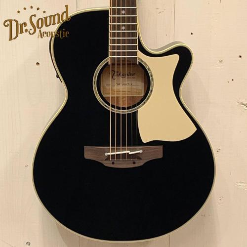 Takamine TSP100 -KT-1- 【無金利分割OK】【送料込み】
