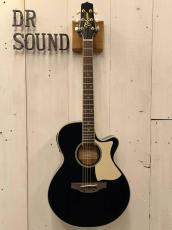 Takamine TSP100 -KT-1- 【無金利分割OK】【送料込み】_2
