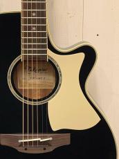 Takamine TSP100 -KT-1- 【無金利分割OK】【送料込み】_3