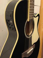 Takamine TSP100 -KT-1- 【無金利分割OK】【送料込み】_4