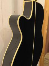 Takamine TSP100 -KT-1- 【無金利分割OK】【送料込み】_10