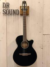 Takamine TSP100 -KT-N- 【無金利分割OK】【送料込み】_2